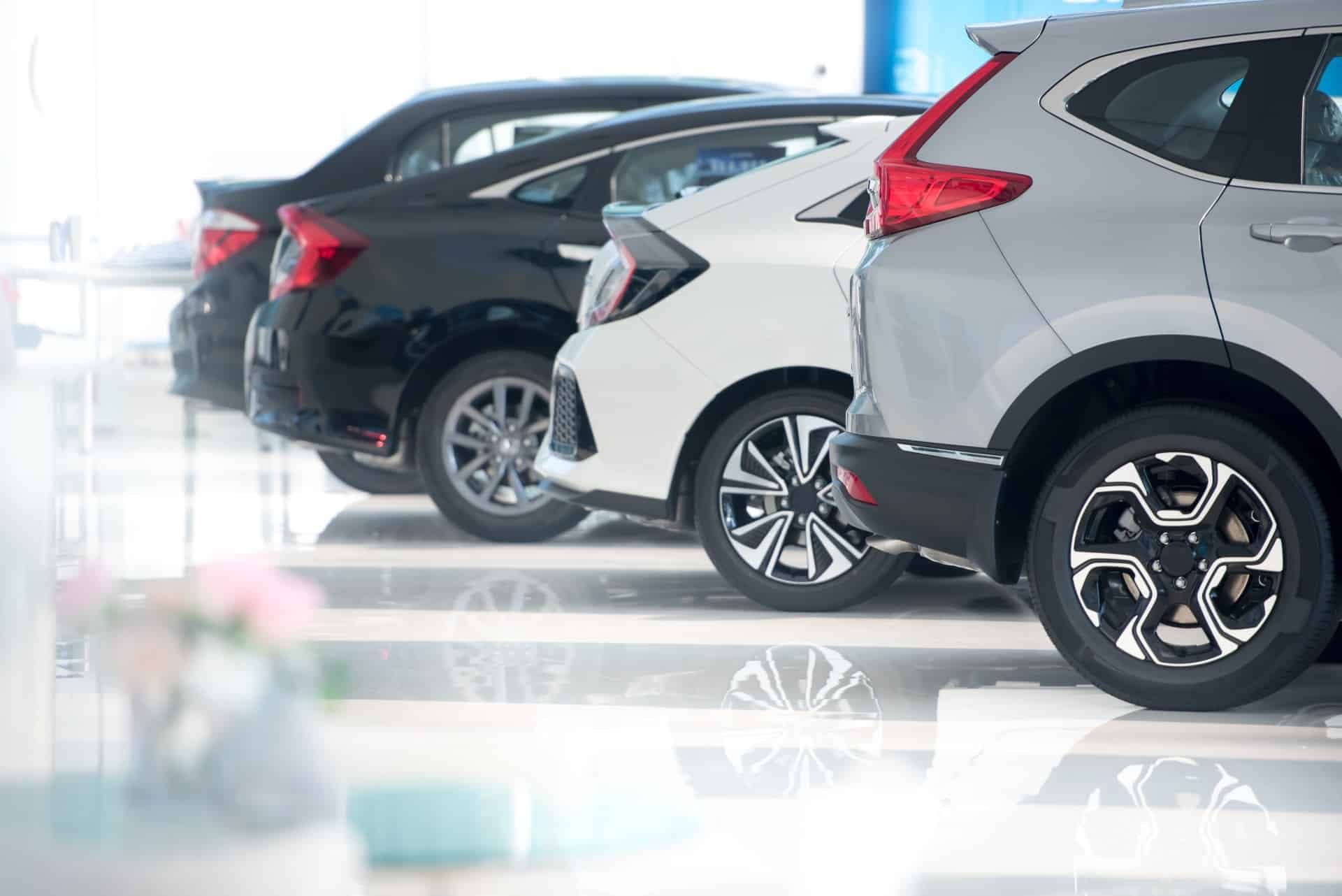 New car advise consultation guidance personal service
